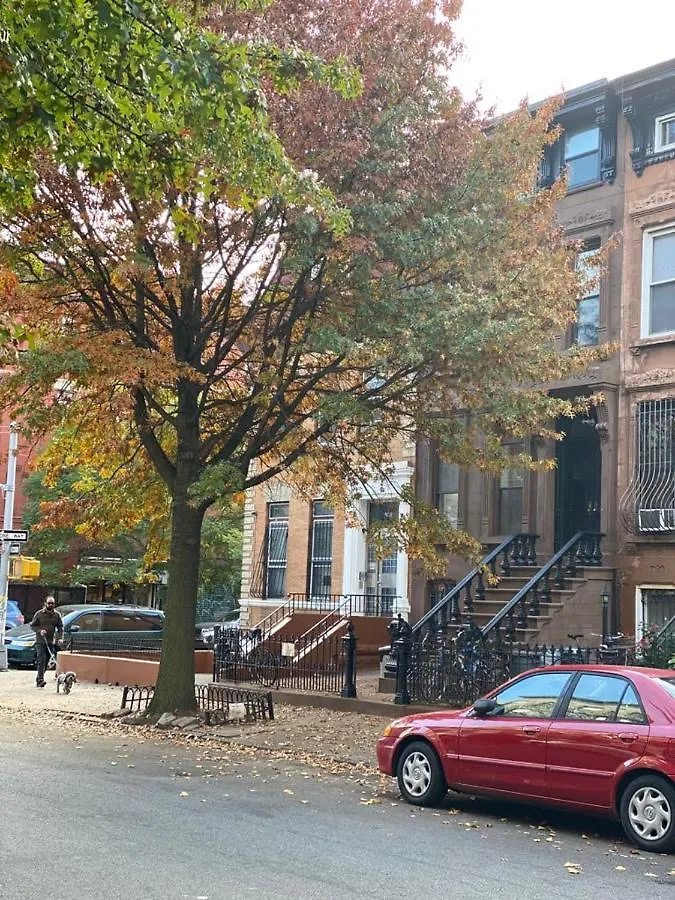 Wonderful Getaway In Bedford-Stuyvesant Apartment New York 0*,